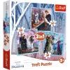 Пазл Trefl Frozen Чарівна історія 3 in1 (5900511348538)