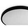 Светильник Vestum RING матовий 60W 395*60мм 3000К-6500К з ДК чорний (VS-91053) изображение 3