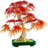 Конструктор LEGO Botanicals Бонсай из японского красного клена (10348) изображение 2