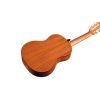 Гитара классическая Cordoba C1M 1/4 изображение 4