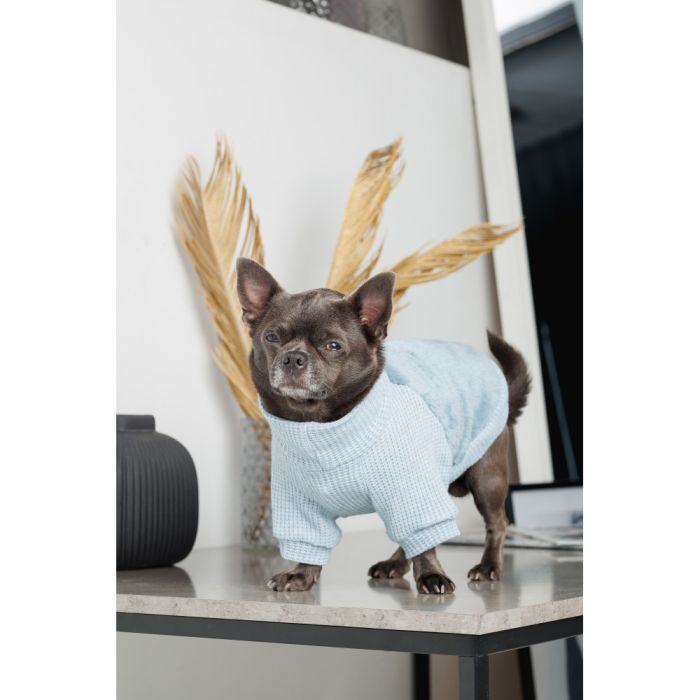 Свитер для животных Pet Fashion Fur М (4823082436064) изображение 6