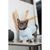 Свитер для животных Pet Fashion Fur L (4823082436071) изображение 6