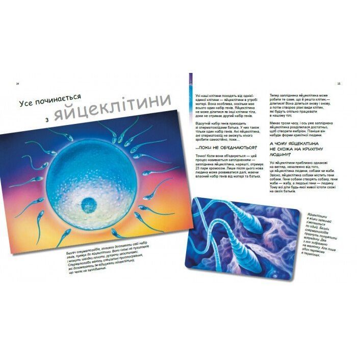 Книга X та Y, дівчинка або хлопчик? - Патрік А. Боерле Ранок (9786170969910) изображение 3