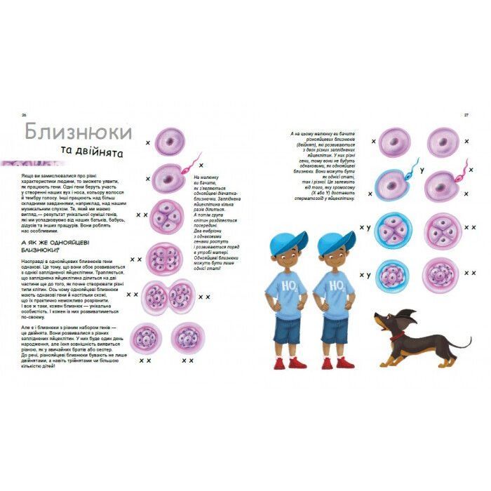 Книга X та Y, дівчинка або хлопчик? - Патрік А. Боерле Ранок (9786170969910) изображение 5