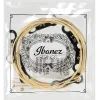 Струны для гитары Ibanez IACS6C Acoustic Guitar Strings 12-53 (301879) изображение 3