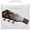 Струны для гитары Ibanez IACS6C Acoustic Guitar Strings 12-53 (301879)