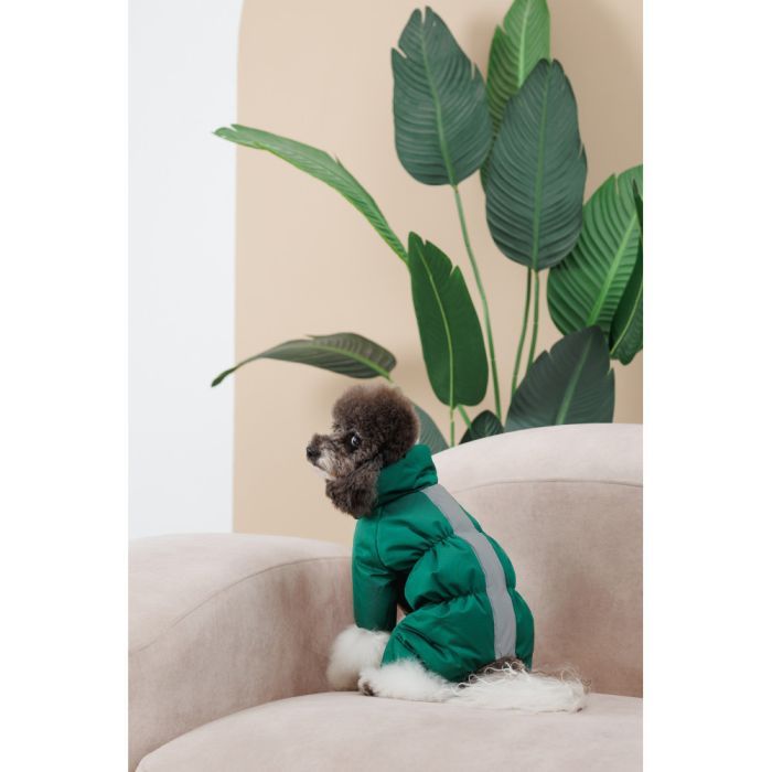 Комбінезон для тварин Pet Fashion EGO S2 зелений (4823082437702) зображення 8