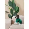 Комбінезон для тварин Pet Fashion EGO S зелений (4823082437696) зображення 9
