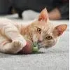Іграшка для котів Cheerble Wicked Snail Green (CWJ02G) зображення 10