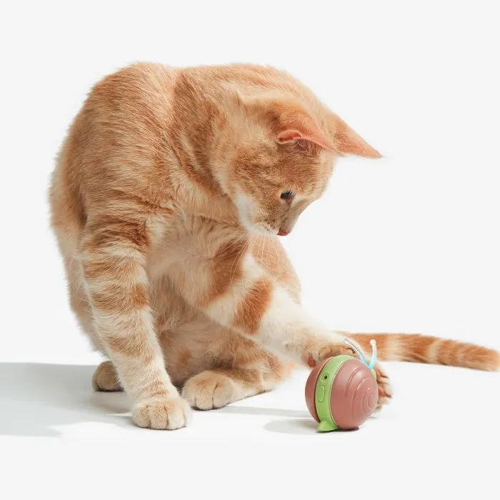 Іграшка для котів Cheerble Wicked Snail Green (CWJ02G) зображення 5