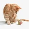 Іграшка для котів Cheerble Wicked Snail Green (CWJ02G) зображення 5