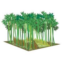Настольная игра Hobby World Мачи Коро: Наследие (915182) изображение 7