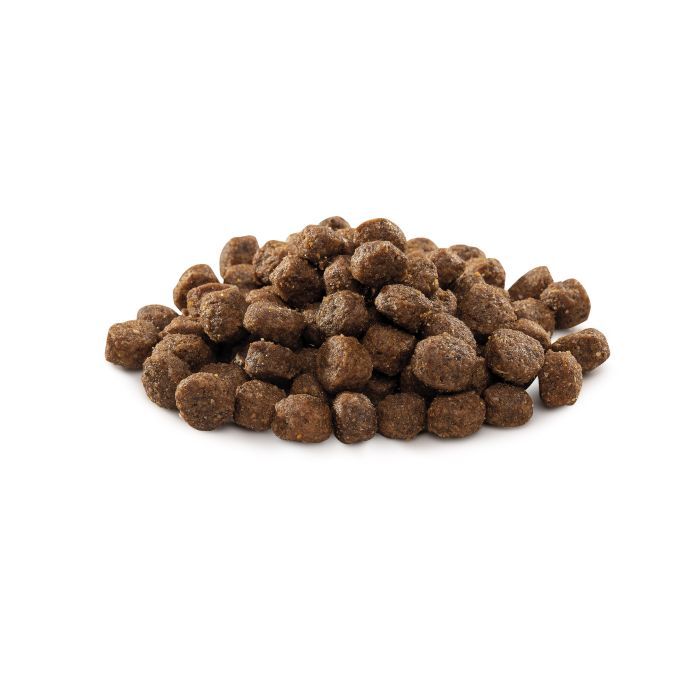 Сухой корм для собак Brit Premium Dog Adult S 1 кг (8595602526284) изображение 2