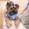 Бомбер для тварин Pet Fashion Spike S (4823082430222) зображення 4