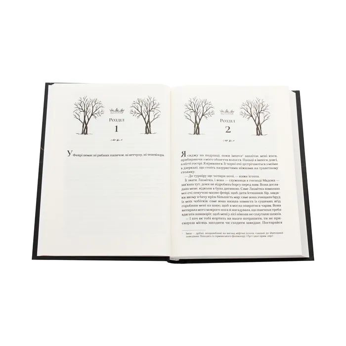 Книга Жорстокий принц - Голлі Блек Vivat (9789669820631) зображення 4