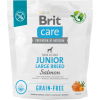 Сухий корм для собак Brit Care Dog Grain-free Junior Large Breed для великих порід з лососем 1 кг (8595602558889)