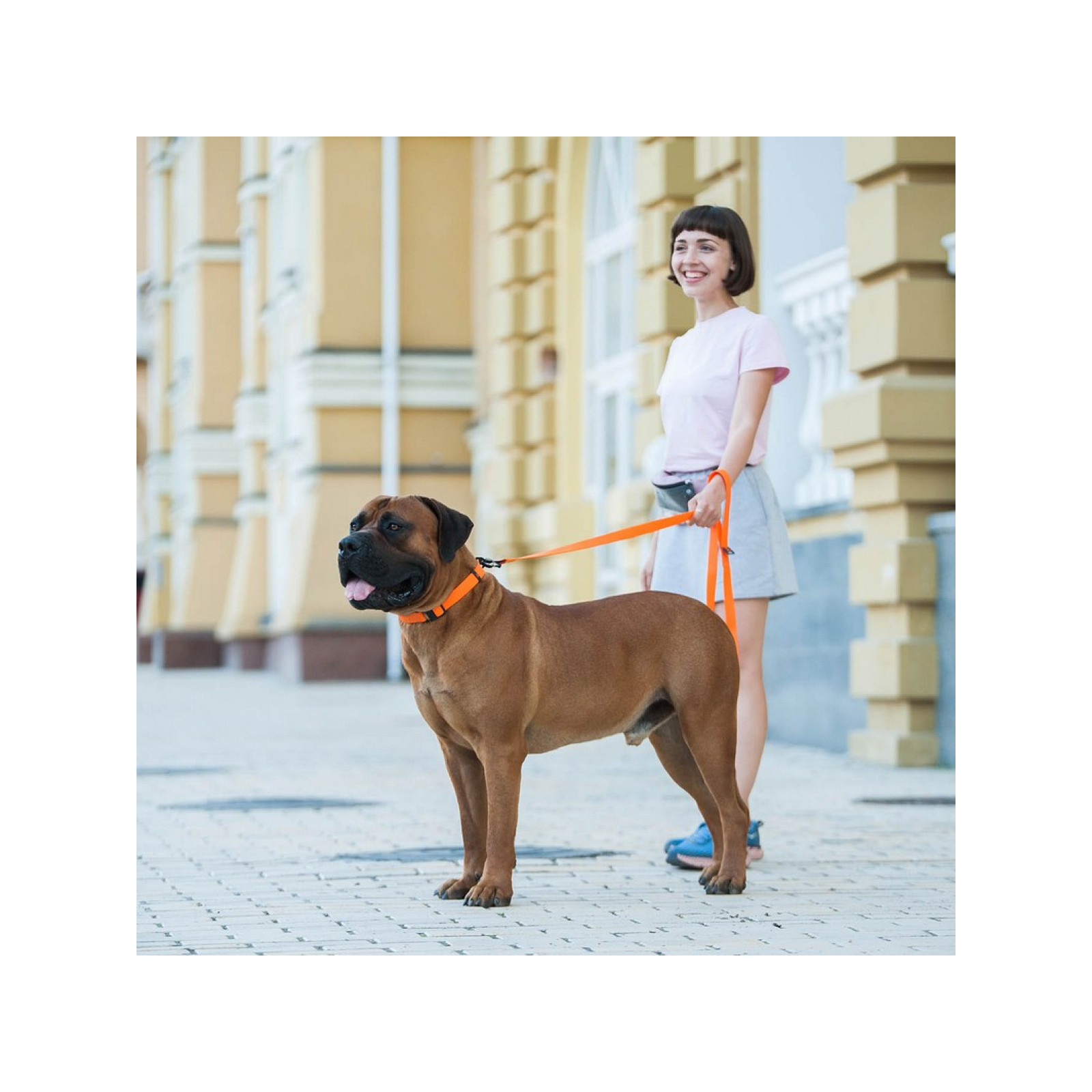 Поводок для собак Evolutor 120 см 25 мм оранжевый (42104) изображение 12