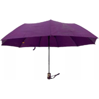 Photos - Umbrella Grunhelm Парасоля  напівавтоматична жіноча  - UAO-1005RH-30GW (місто ескіз)