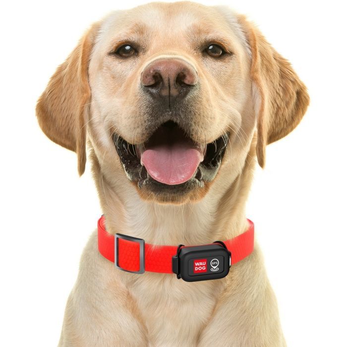 GPS трекер для животных WAUDOG Device 46х30х17 мм (9960) изображение 6