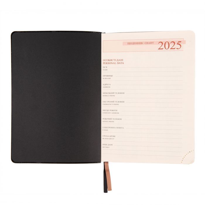Тижневик Leo planner датований 2025 Brandy А5 368 сторінок (252580) зображення 3