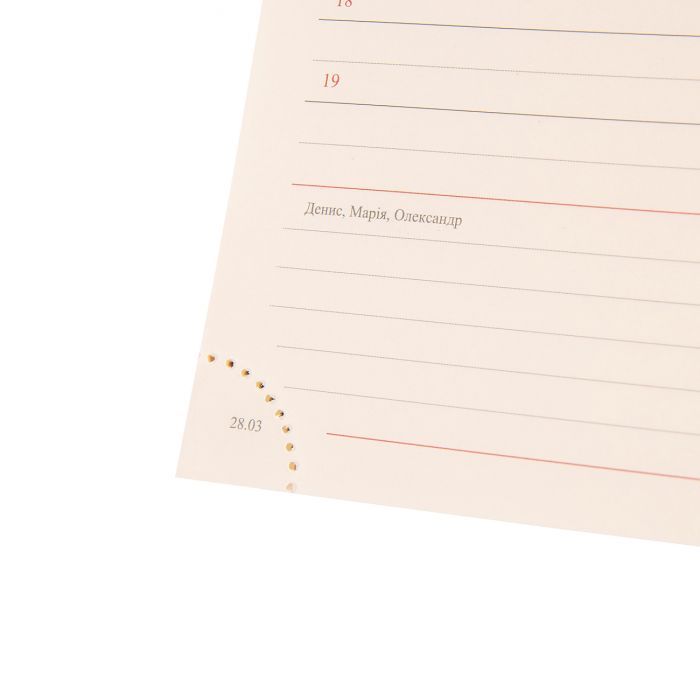 Тижневик Leo planner датований 2025 Brandy А5 368 сторінок (252580) зображення 6