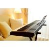 Цифровое пианино Korg Liano L1 Black (233800) изображение 6