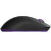 Мышка Dark Project Novus Pro Wireless Black (DPP_Novus_PRO_BB) изображение 4