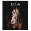 Тетрадь Школярик Black classic 96 листов линия (096-3388L)