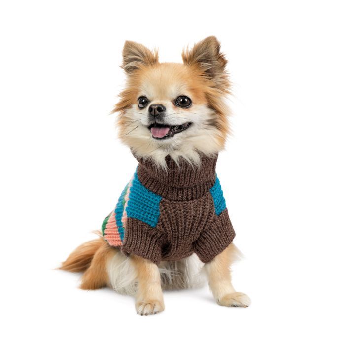 Свитер для животных Pet Fashion Happy S (4823082436118) изображение 2