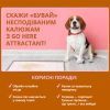 Спрей для животных OUT! GO HERE для приучения собак к туалету 945 мл (0010279705445) изображение 3
