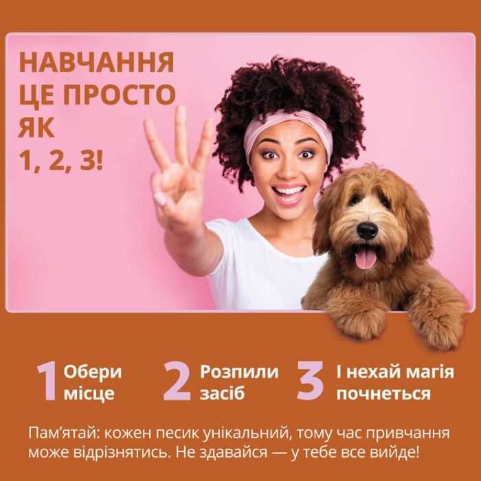 Спрей для животных OUT! GO HERE для приучения собак к туалету 945 мл (0010279705445) изображение 4