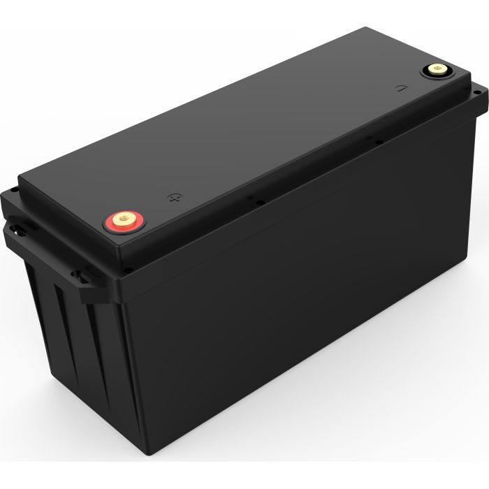 Батарея LiFePo4 SVC LFP12-200 2560Wh (12.8V 200Ah) зображення 2