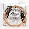 Струны для гитары Ibanez IACSP62C Acoustic Guitar Strings 11-52 (301878) изображение 3