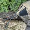 Аксессуар для барбекю Metalzavod Кочерга та совок (KCHRG-SVK) изображение 5