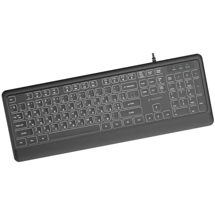 Клавіатура Gembird Slim Multimedia White Backlight USB Black (KB-UML-04-CYRL) зображення 2