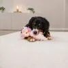 Игрушка для собак Trixie Аксолотль 36 см белая (4011905575759) изображение 4