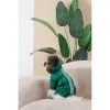 Комбінезон для тварин Pet Fashion EGO S2 зелений (4823082437702) зображення 8