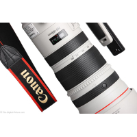 Объектив Canon EF 200-400mm f/4.0L IS USM Extender 1.4X (5176B005) изображение 4
