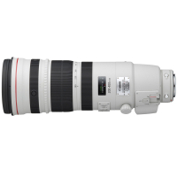 Объектив Canon EF 200-400mm f/4.0L IS USM Extender 1.4X (5176B005) изображение 5
