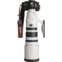 Объектив Canon EF 200-400mm f/4.0L IS USM Extender 1.4X (5176B005) изображение 7