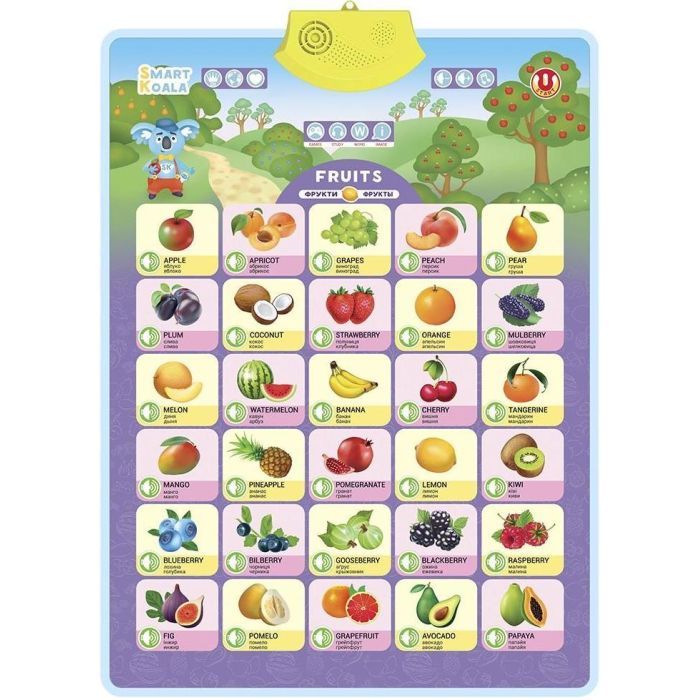Интерактивная игрушка Smart Koala Аудиопостер Фрукты (SKCIF3)