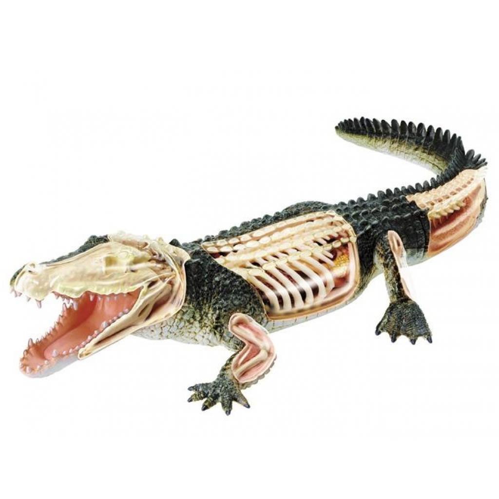 Пазл 4D Master Объемная анатомическая модель Крокодил (FM-622034) изображение 2