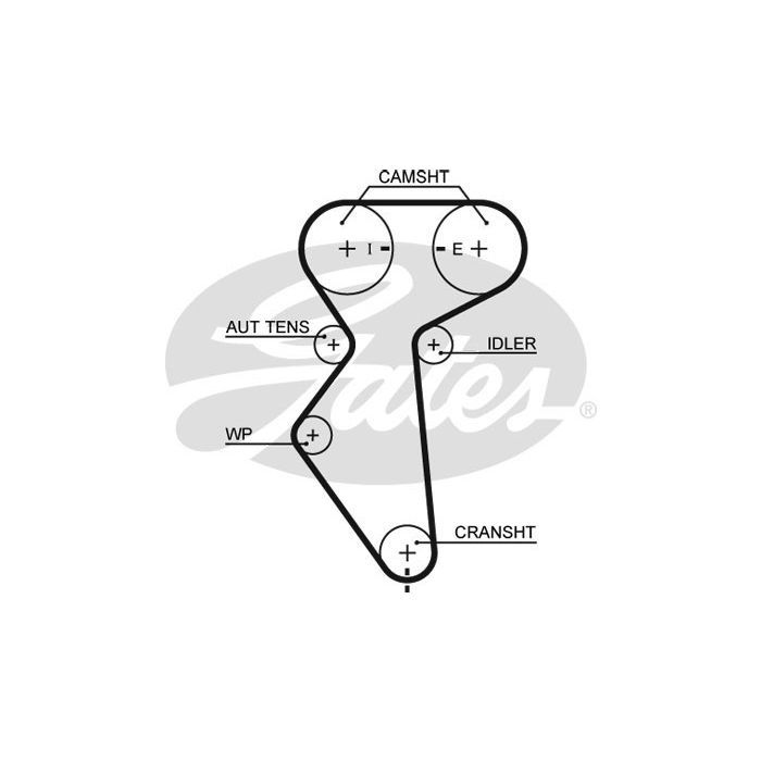 Ремень ГРМ Gates 5419XS