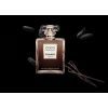 Парфумована вода Chanel Coco Mademoiselle Intense 50 мл (3145891166507) зображення 3