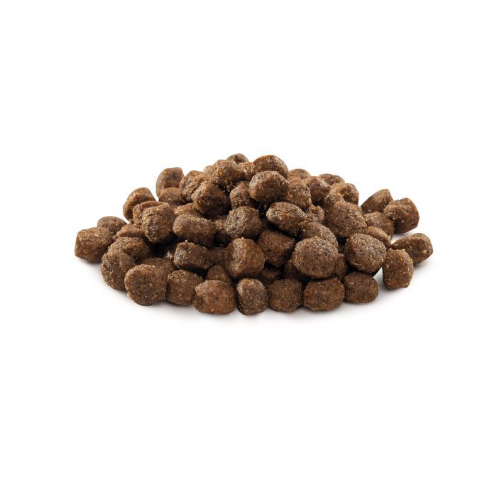 Сухой корм для собак Brit Premium Dog Adult S 1 кг (8595602526284) изображение 5