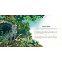 Книга Киця Миця, мандрівниця - Ірина Савка Видавництво Старого Лева (9789664480670) изображение 3