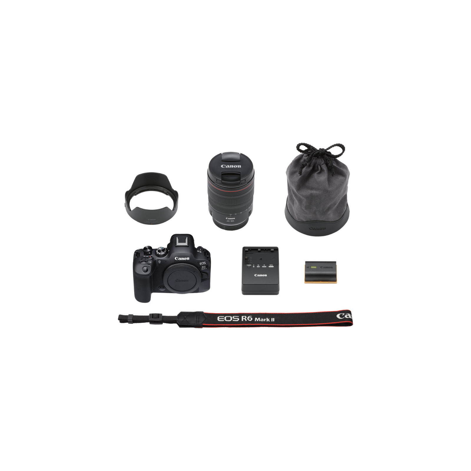 Цифровий фотоапарат Canon EOS R6 Mark II + RF 24-105 f/4.0-7.1 IS STM (5666C030) зображення 10