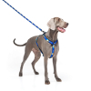 Шлея для собак WAUDOG Nylon з QR паспортом анатомічна H-подібна "Прапор" L (5160-0229) зображення 4