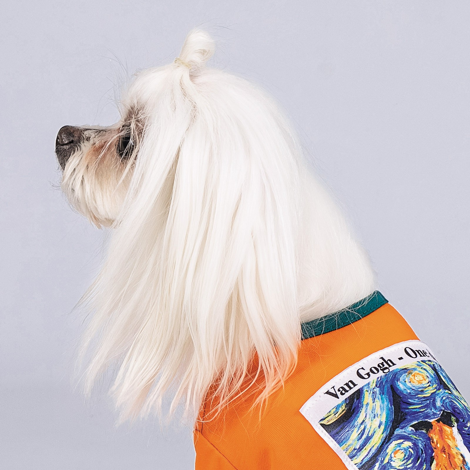 Футболка для животных Pet Fashion "ART" XS оранжевая (4823082420926) изображение 5