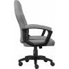 Кресло игровое GT Racer X-1414 Gray/Gray (X-1414 Fabric Gray/Gray) изображение 3